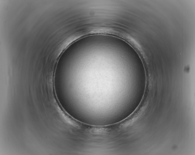 X0000091691041200709061121