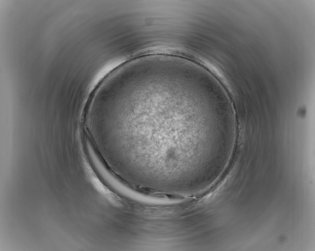 X0000091691042200709061121