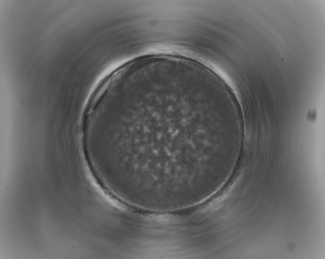 X0000091691045200709061121