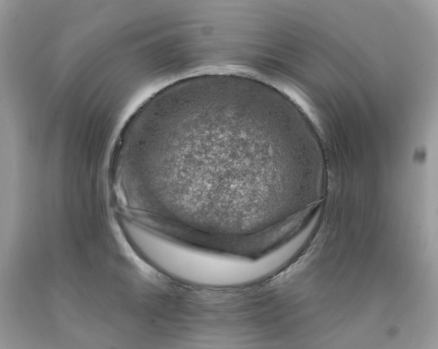 X0000091691046200709061121