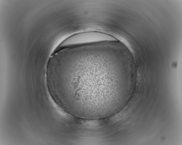 X0000091691047200709061121