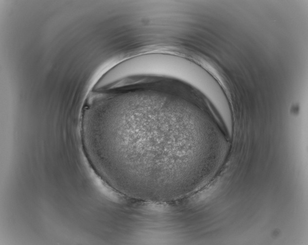 X0000091691050200709061121