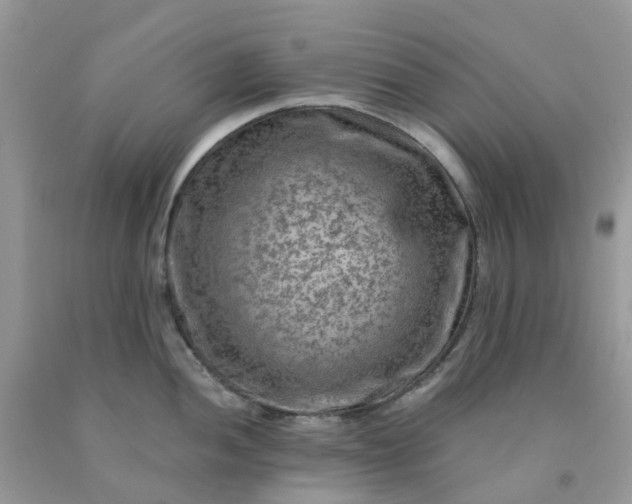 X0000091691052200709061121