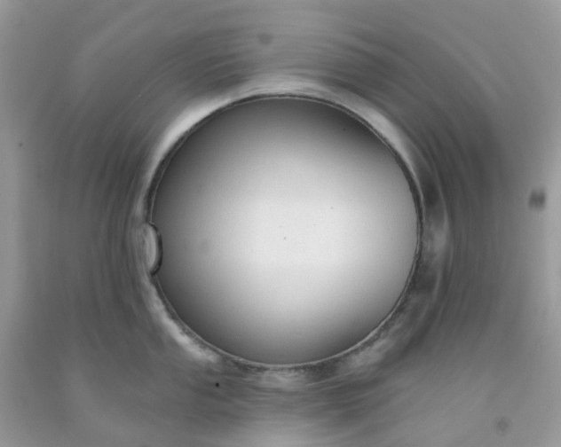 X0000091691053200709061121