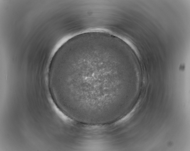 X0000091691054200709061121