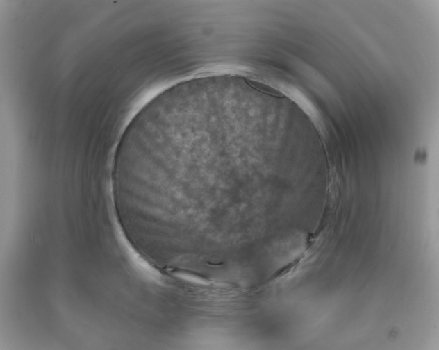 X0000091691055200709061121