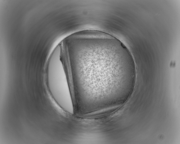 X0000091691056200709061121