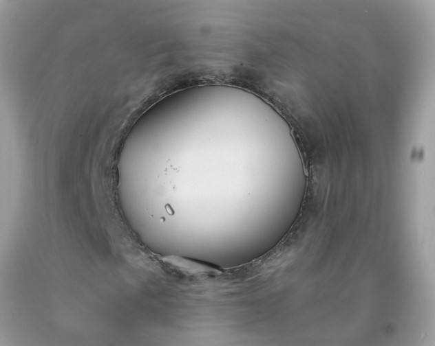 X0000091691057200709061120