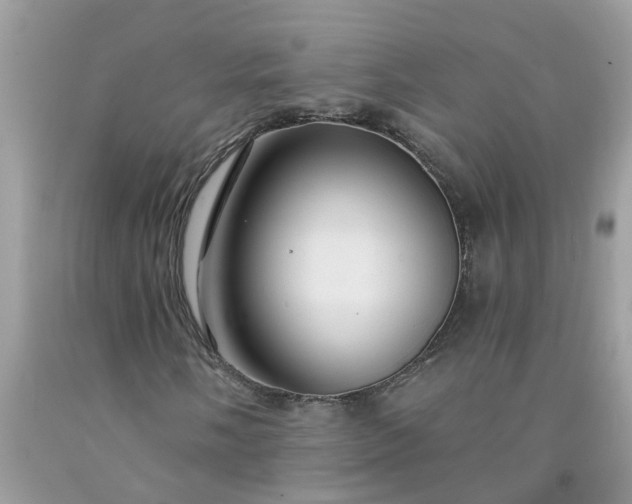 X0000091691058200709061120