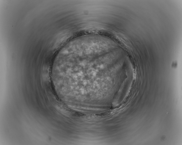 X0000091691060200709061120