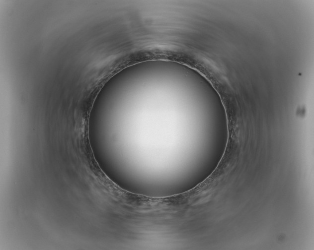 X0000091691061200709061120