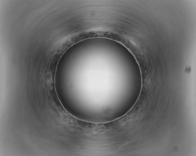 X0000091691062200709061120