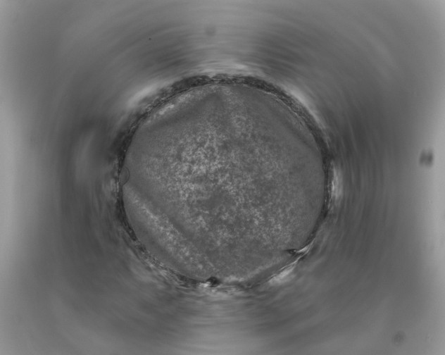 X0000091691063200709061120