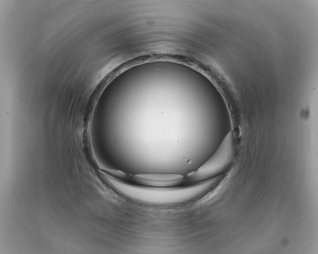 X0000091691065200709061120