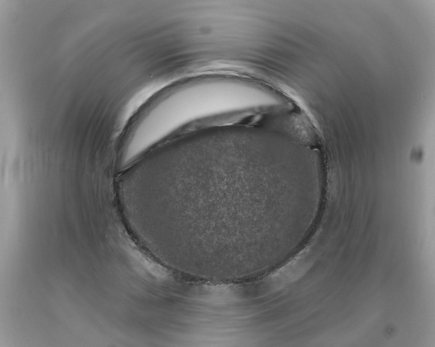 X0000091691066200709061120