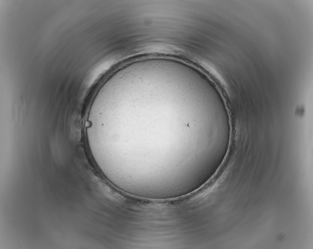 X0000091691067200709061120