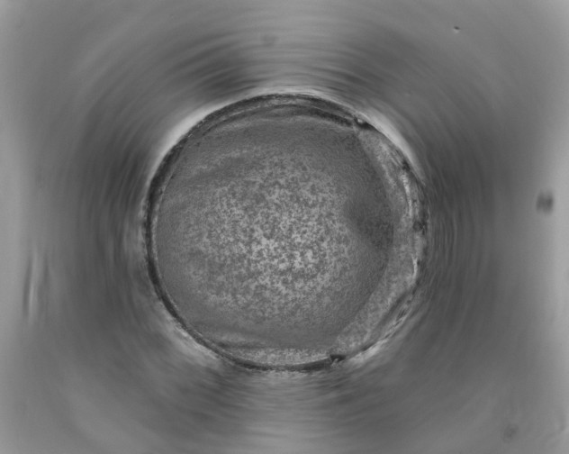 X0000091691068200709061120