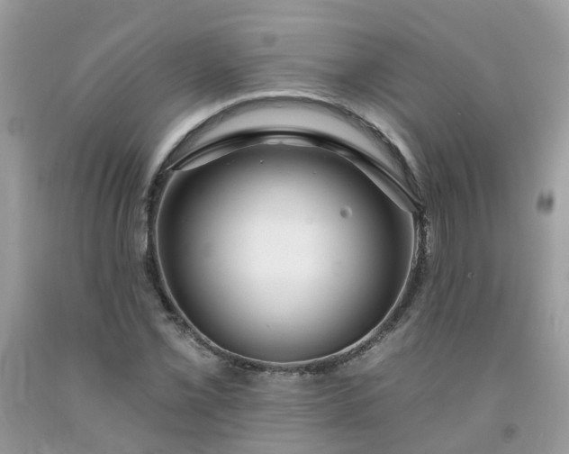 X0000091691069200709061120