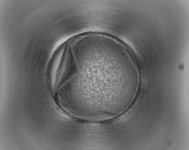 X0000091691070200709061120