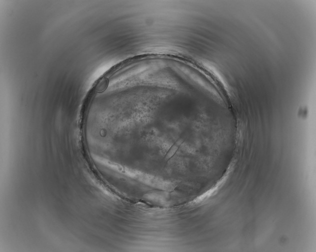 X0000091691071200709061120