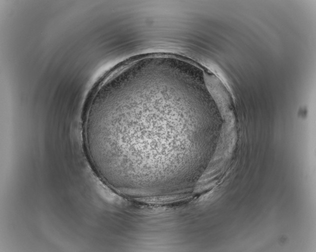 X0000091691072200709061120