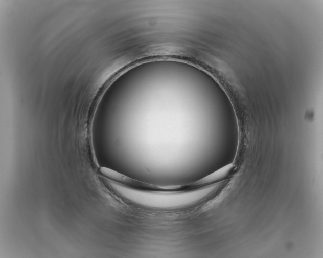 X0000091691073200709061120