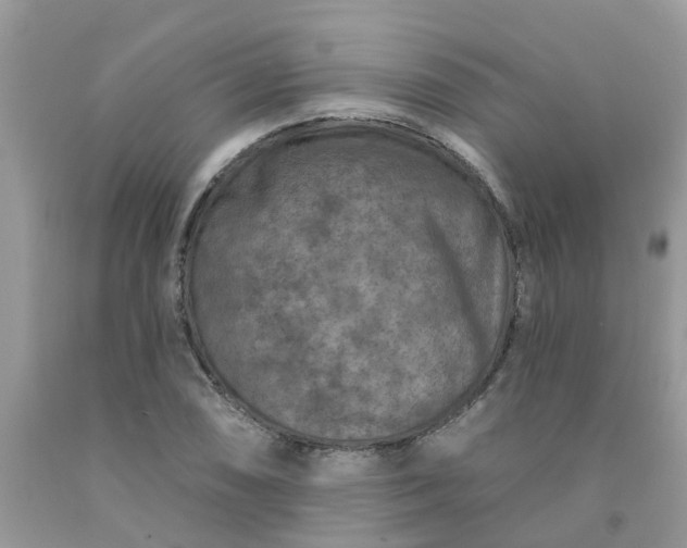 X0000091691074200709061120