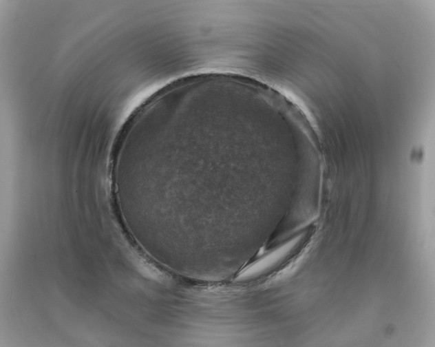 X0000091691077200709061120