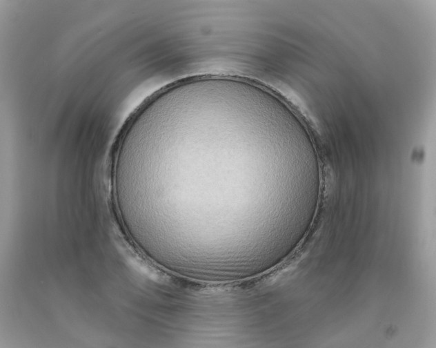 X0000091691078200709061120