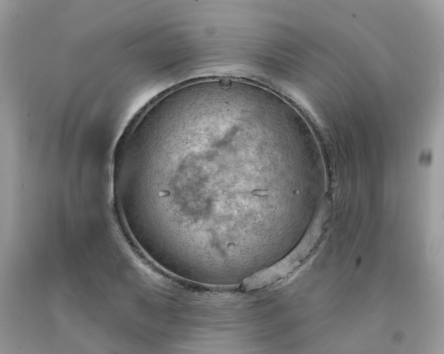 X0000091691079200709061120