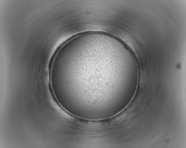 X0000091691080200709061120