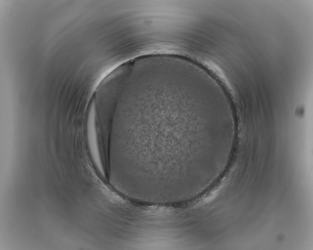 X0000091691081200709061120