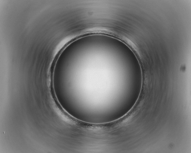 X0000091691082200709061120