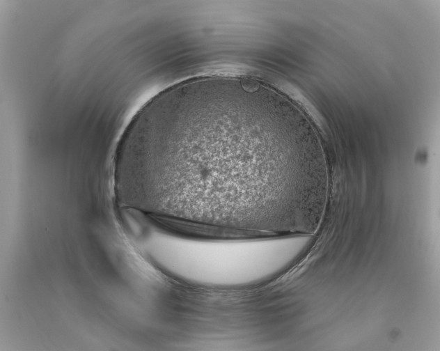 X0000091691083200709061120