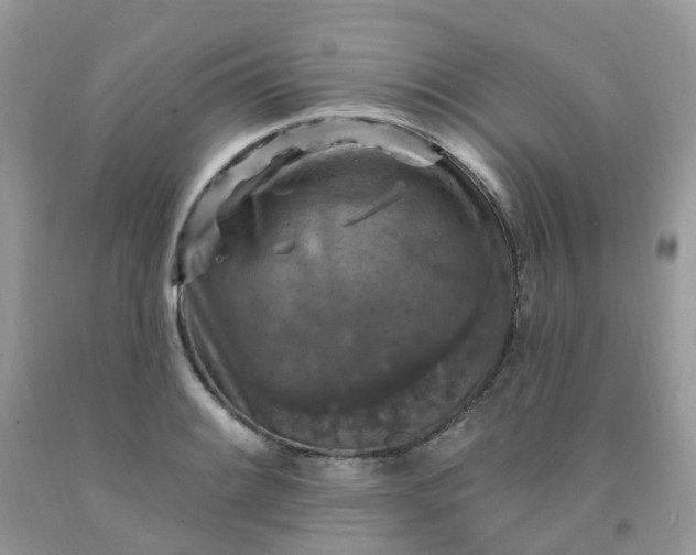 X0000091691084200709061120