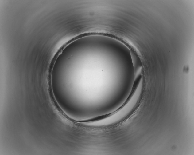 X0000091691085200709061120