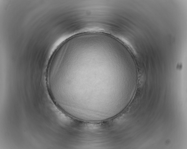 X0000091691086200709061120