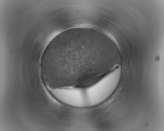 X0000091691087200709061120