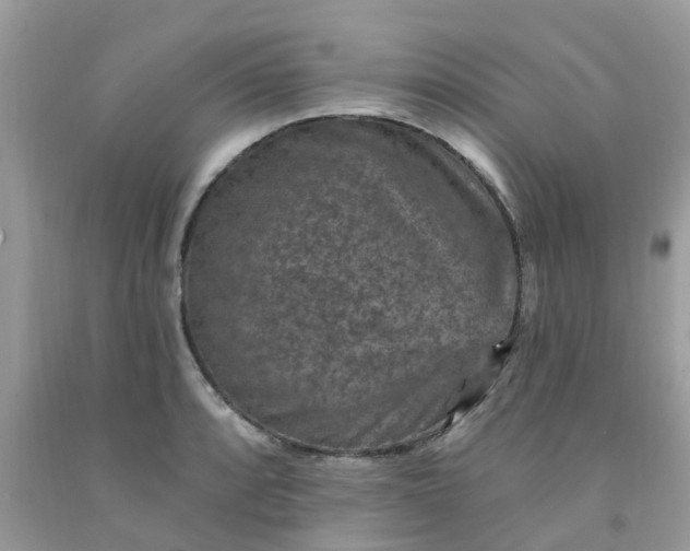 X0000091691088200709061120