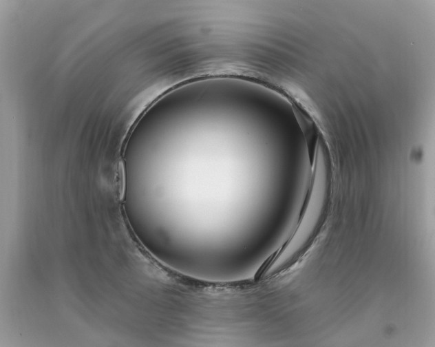 X0000091691089200709061120