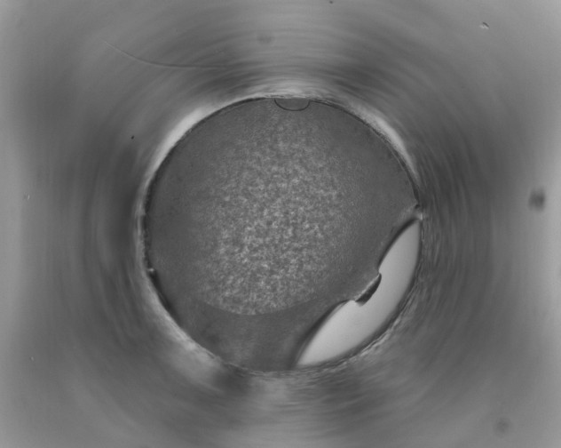 X0000091691091200709061120