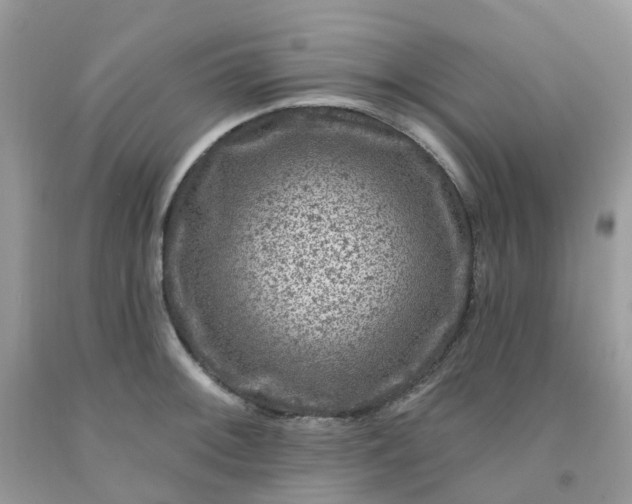 X0000091691092200709061120