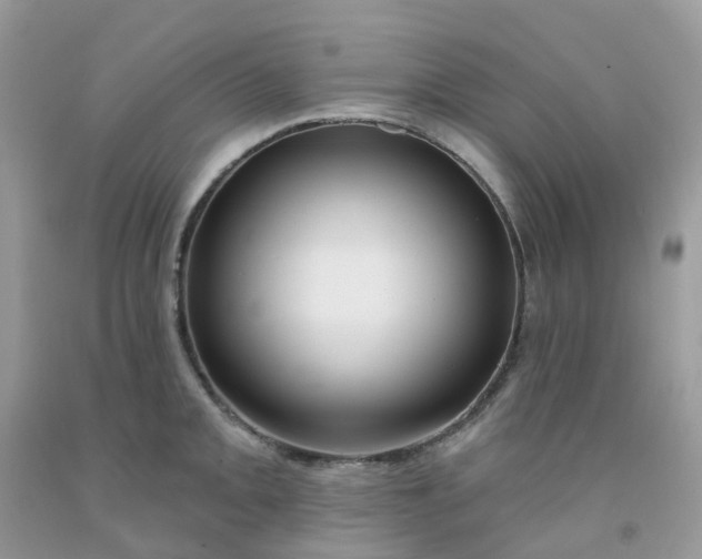 X0000091691093200709061120