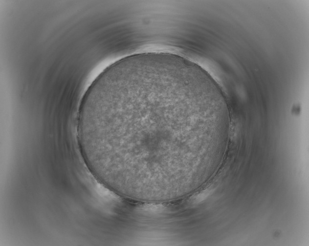 X0000091691094200709061120