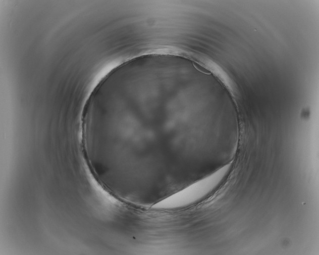 X0000091691095200709061120