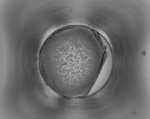 X0000091691096200709061120