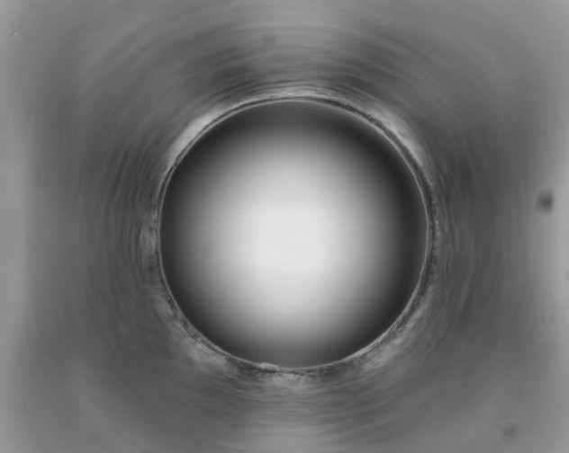 X0000091691097200709061120