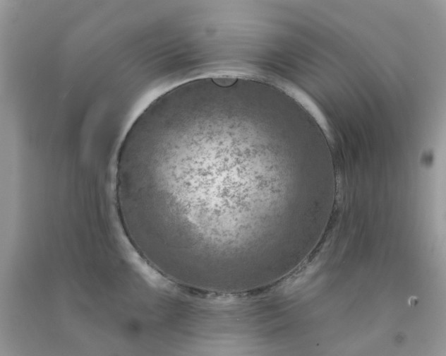 X0000091691099200709061120