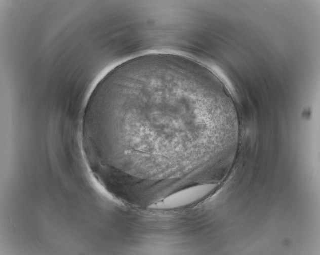 X0000091691100200709061120