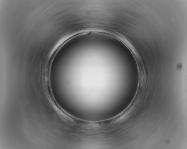 X0000091691101200709061120